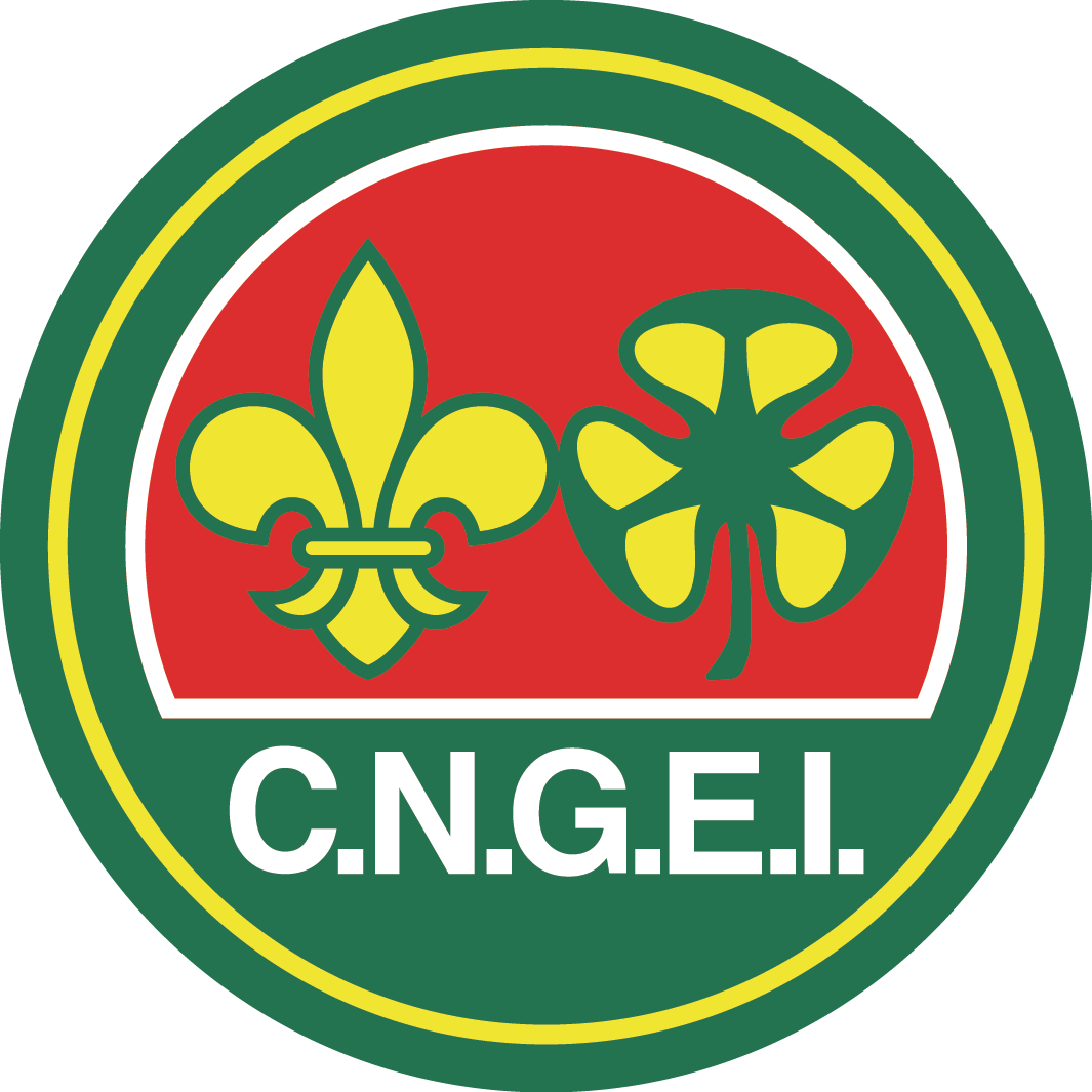 CNGEI.png