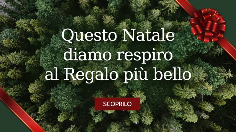 Auguri di Buon Natale e Felice 2025!