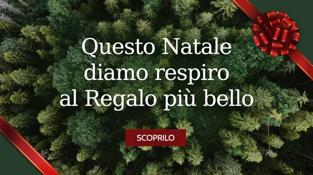 Auguri di Buon Natale e Felice 2025!